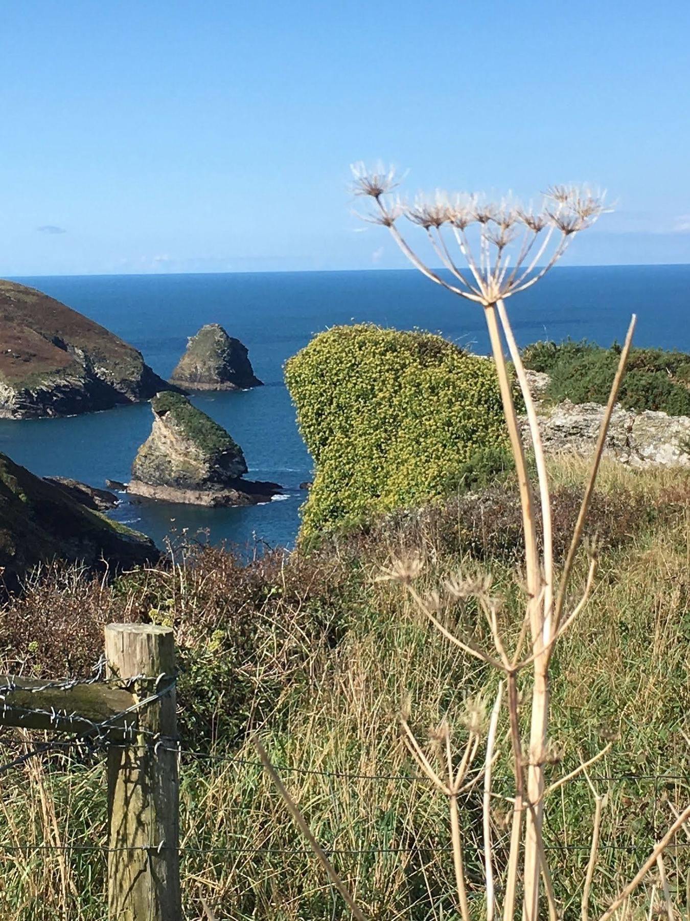 The Old Parsonage Boscastle Exterior foto
